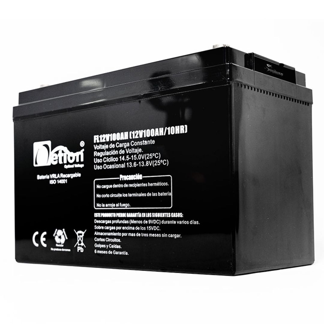 Batería AGM 100AH 12V Netion