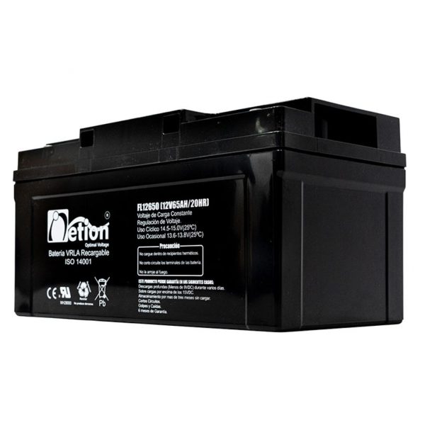 Batería AGM 65AH 12V Netion - Imagen 2