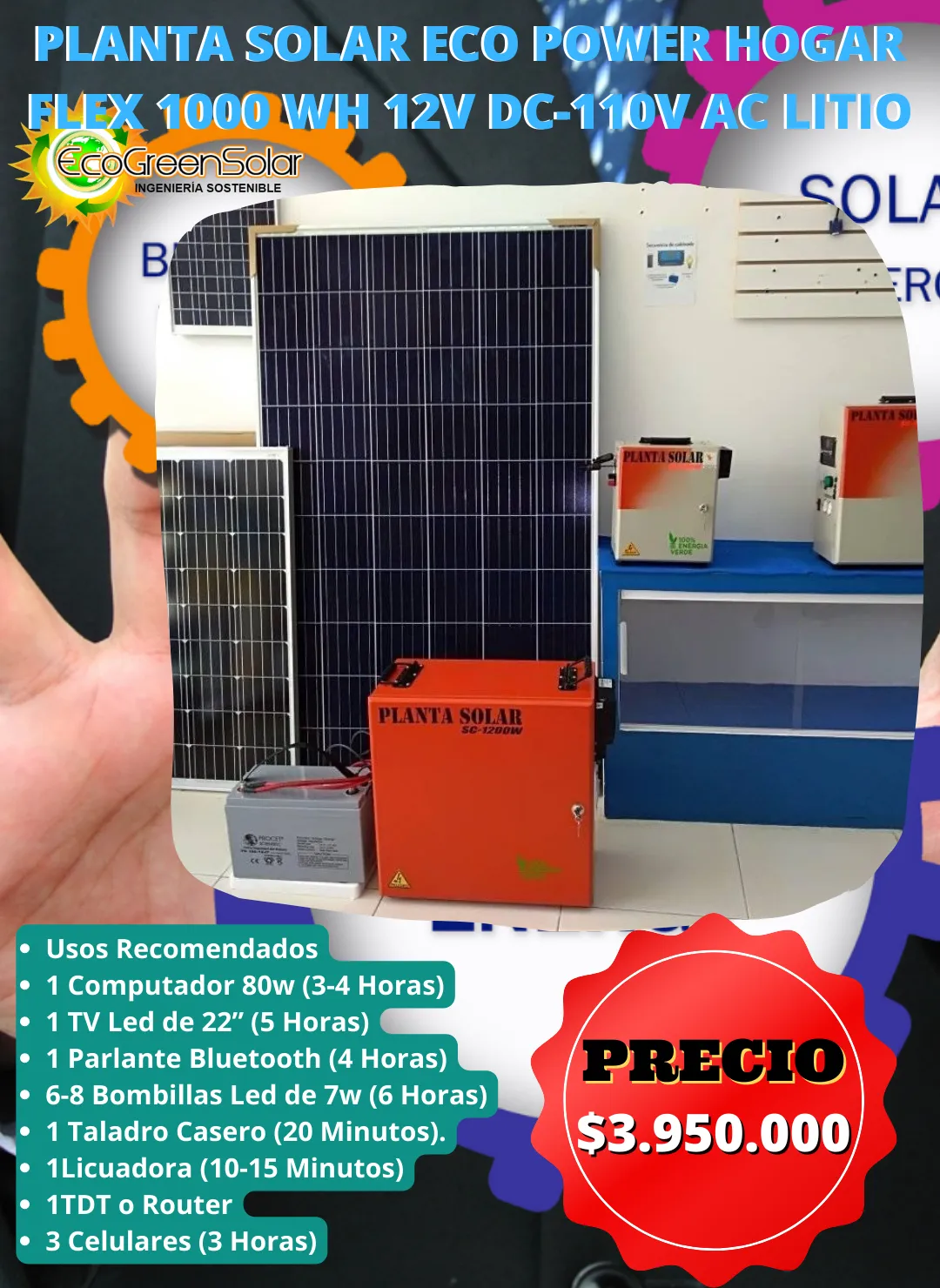 Planta solar BÁSICA mini...(1)